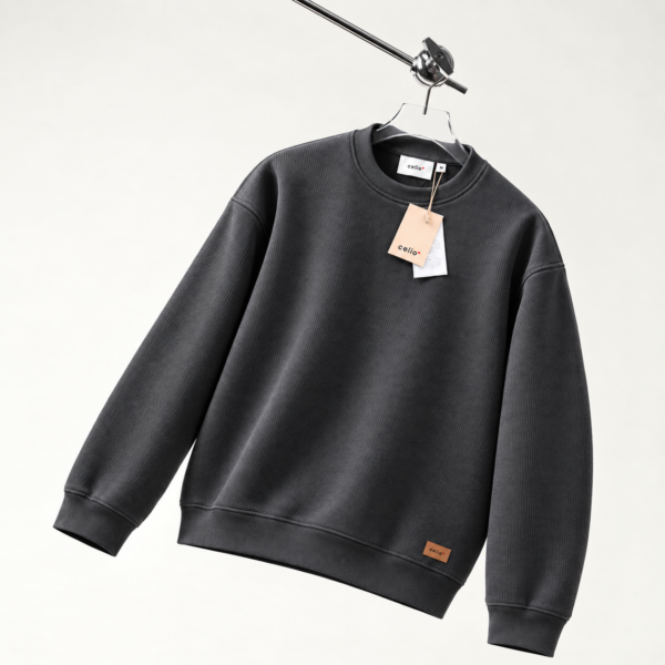 Premium Celio Sweatshirt (Charcoal)